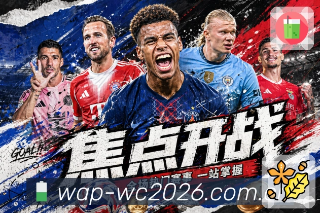 安全登录器 - 加密访问与快速直达